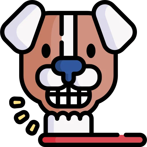 Mavis Road Animal Clinic Veterinary Care In Mississauga ON - Dental Health - Mavis Road Animal Clinic