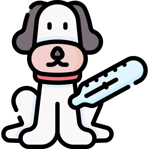 Mavis Road Animal Clinic Veterinary Care In Mississauga ON - Pet Surgery - Mavis Road Animal Clinic