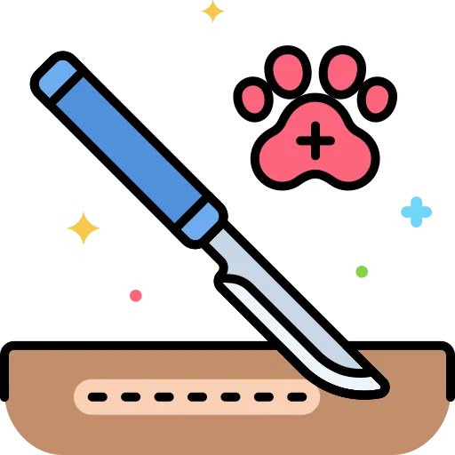 Surgery Dental Care - Mavis Road Animal Clinic