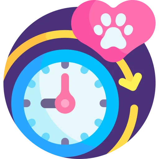 Services - Euthansia End Of Life - Mavis Road Animal Clinic